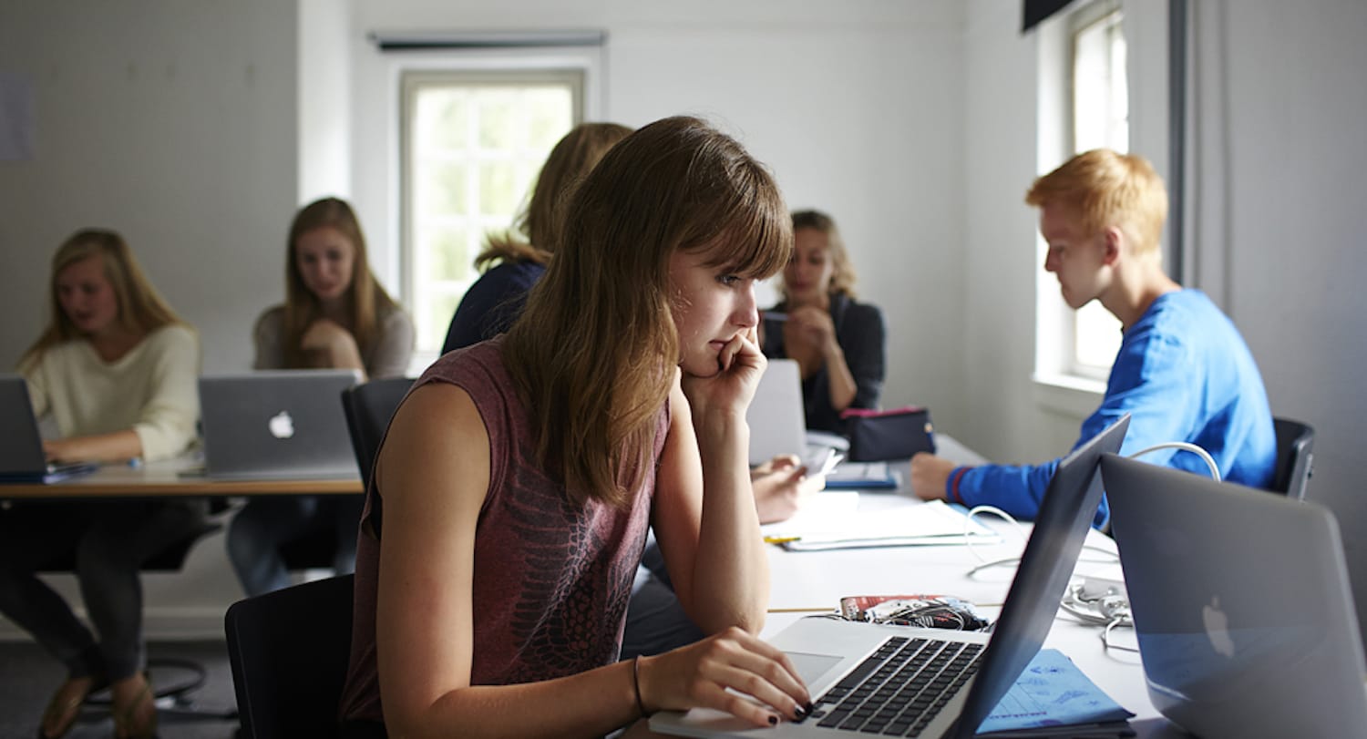 Online Danskundervisning På Tre Niveauer - Danes Worldwide