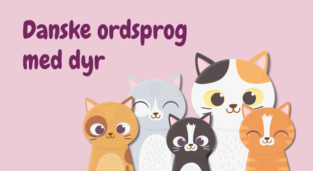 Quiz danske ordsprog med dyr