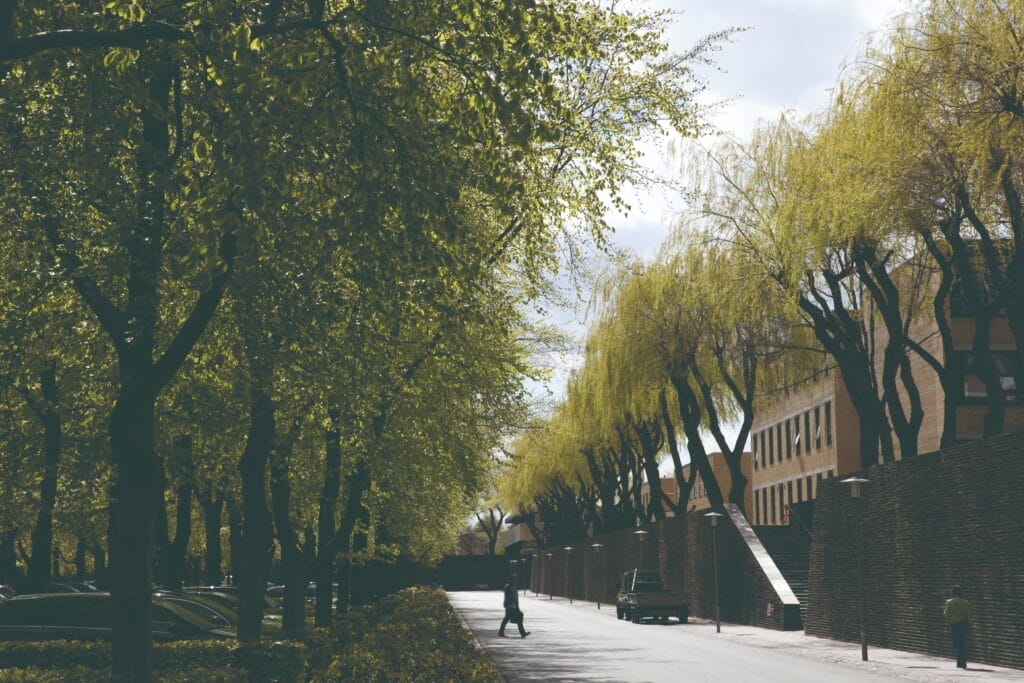 dtu